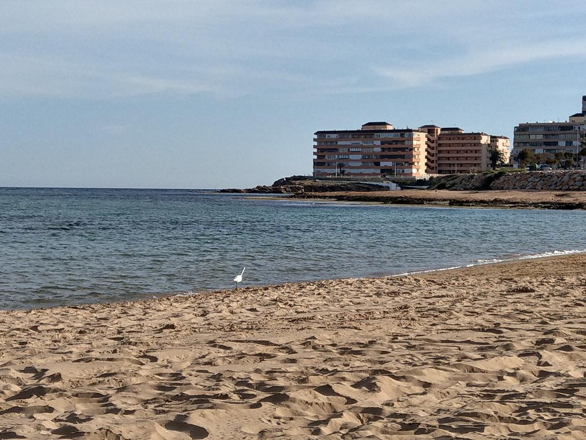 Ferienwohnung Torrevieja Exterior foto
